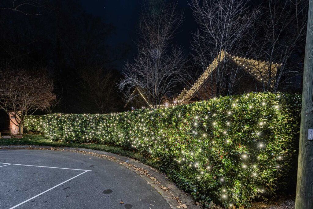 Lake Lanier Christmas lighting project image 9
